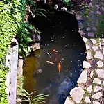 New Fajka * Mikulov